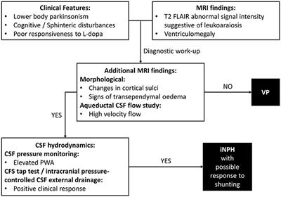 Vascular Parkinsonism: Still Looking for a Diagnosis